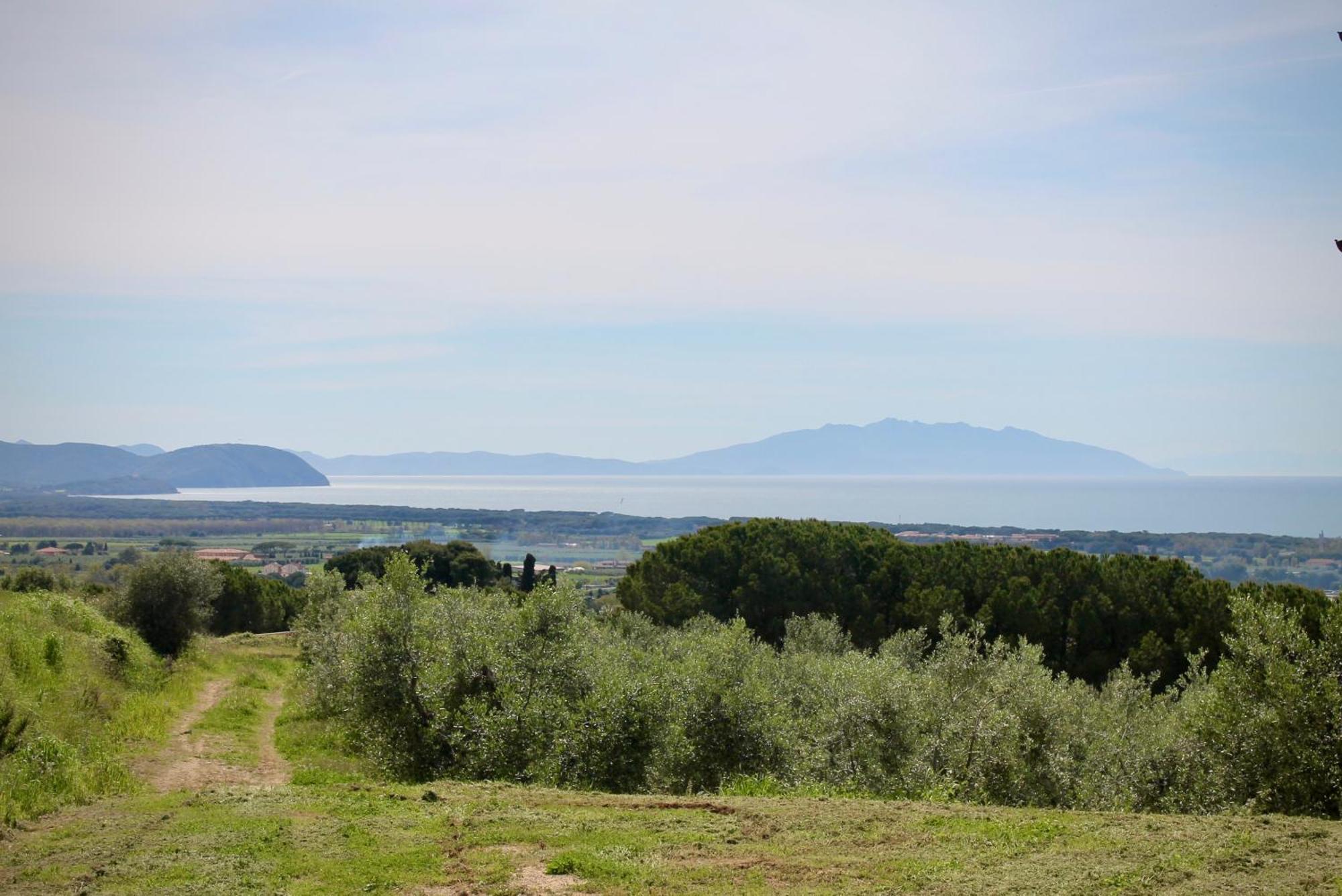 Agriturismo Suite Del Conte ซานวินเชนโซ ภายนอก รูปภาพ