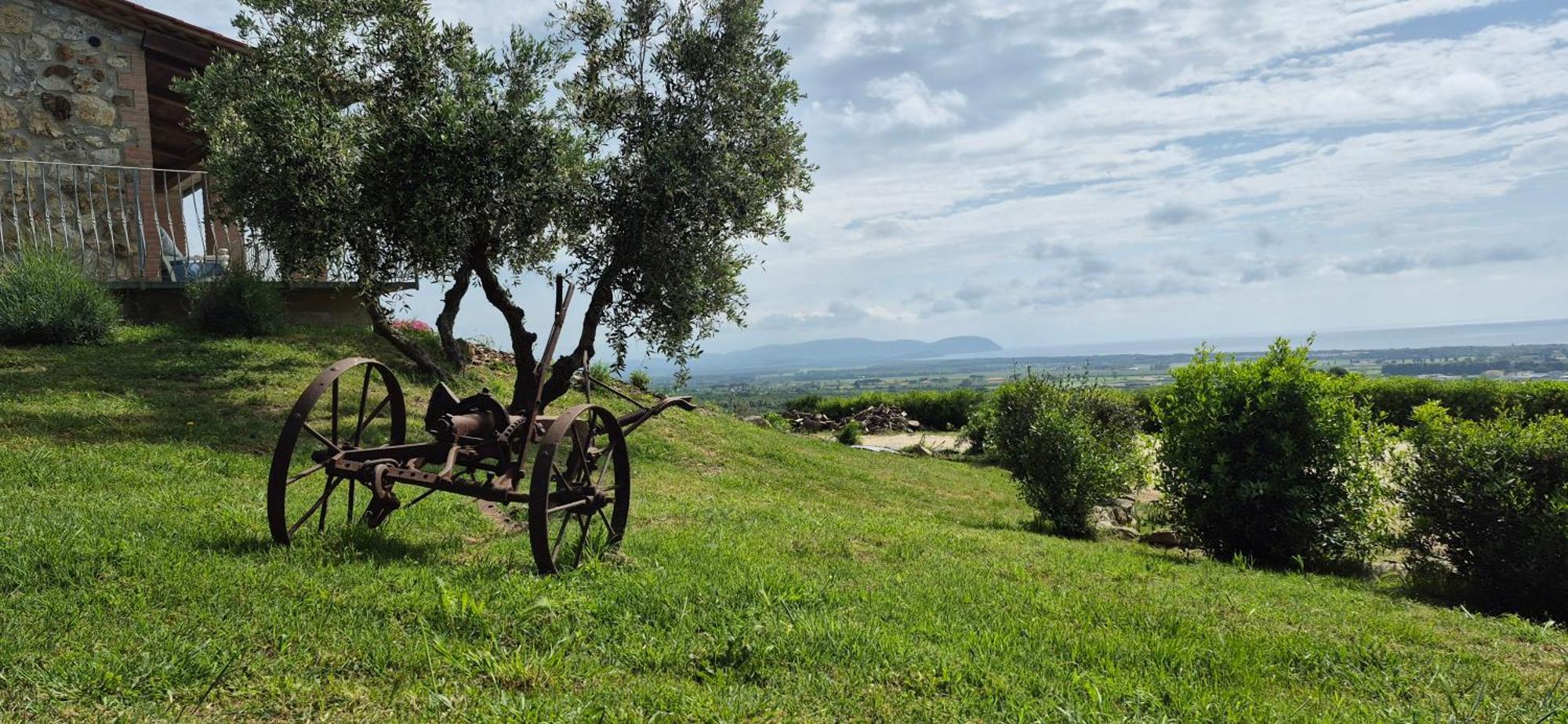 Agriturismo Suite Del Conte ซานวินเชนโซ ภายนอก รูปภาพ